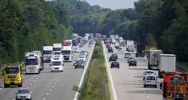 First Steps in the Trump Era